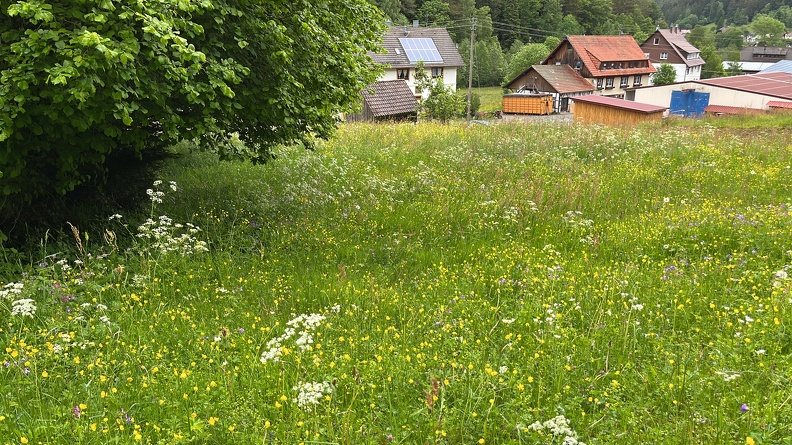 22-05-29 11-09-34 0946.jpg